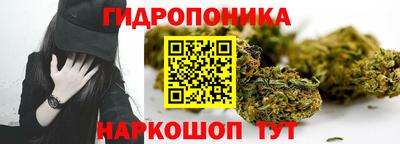 сатива Обь