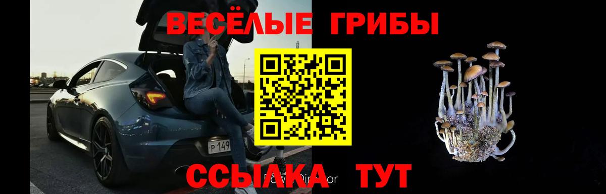 Галлюциногенные грибы MAGIC MUSHROOMS  Вход с VPN  Солнечногорск 